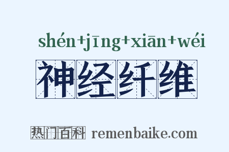 神经纤维是什么意思的图片
